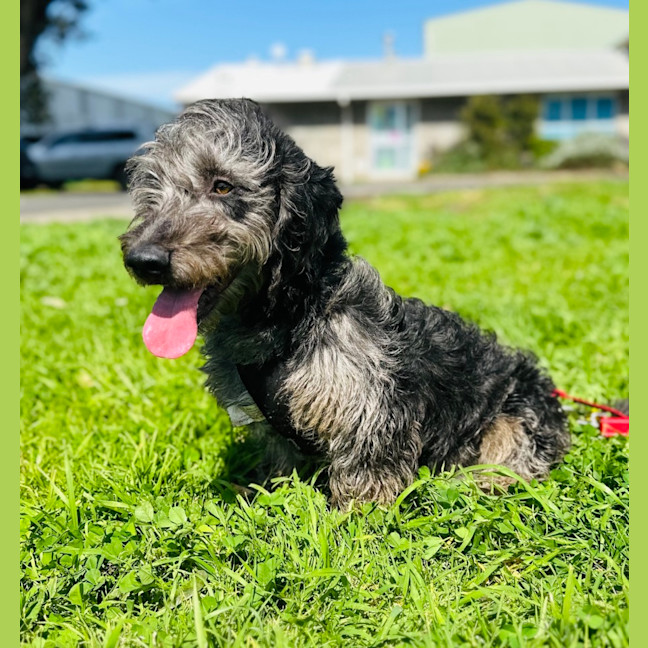 Photo of Bobby