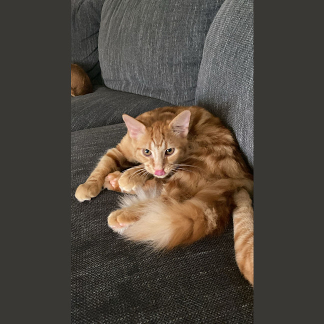 Photo of Harry