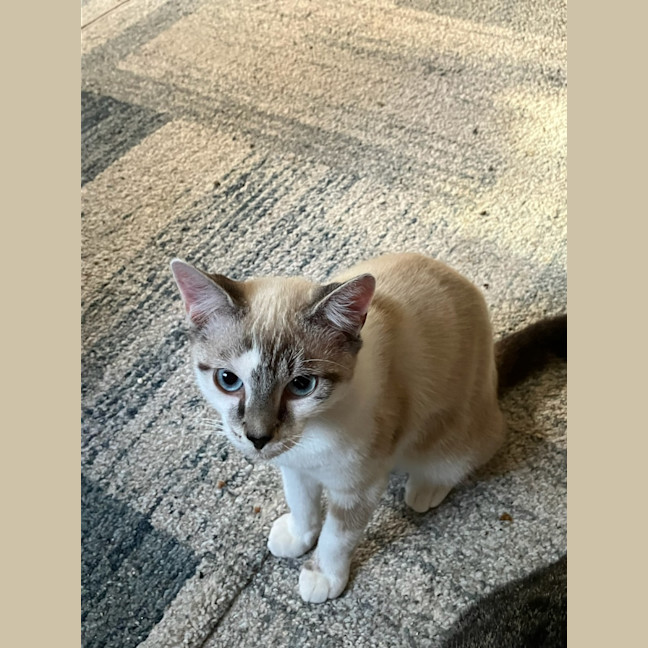 Photo of Ralphie♥️