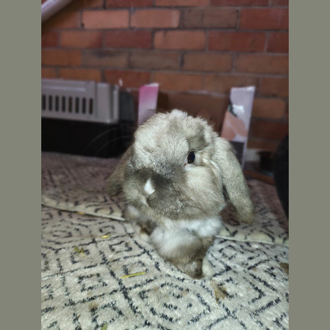 Photo of Theo