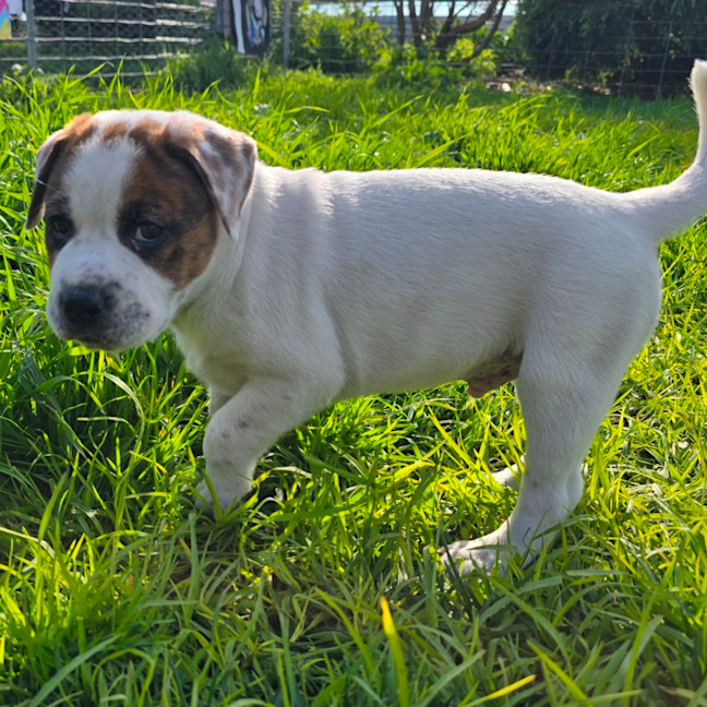 Photo of Beanie Baby