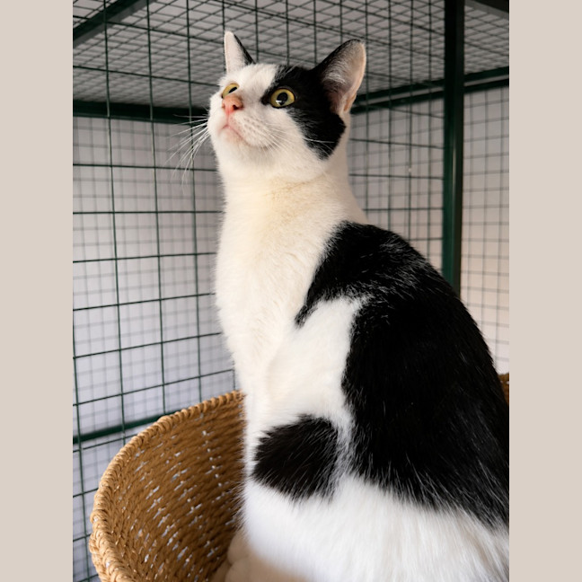 Photo of Matilda