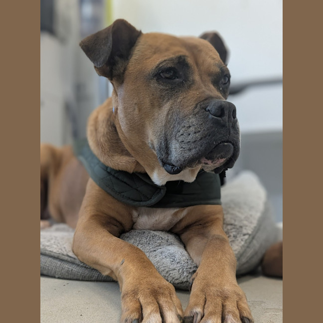 Photo of 💅 Lexi 6188 💅