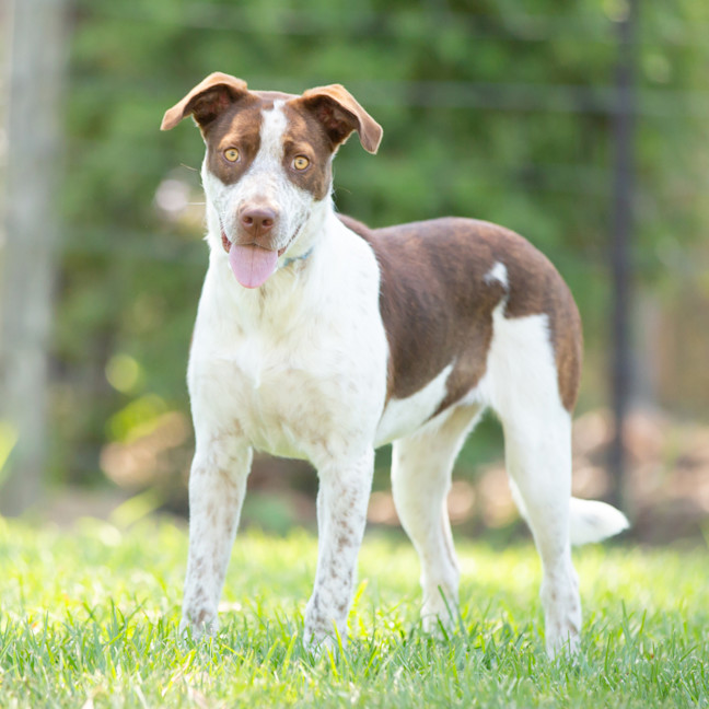Photo of Coco
