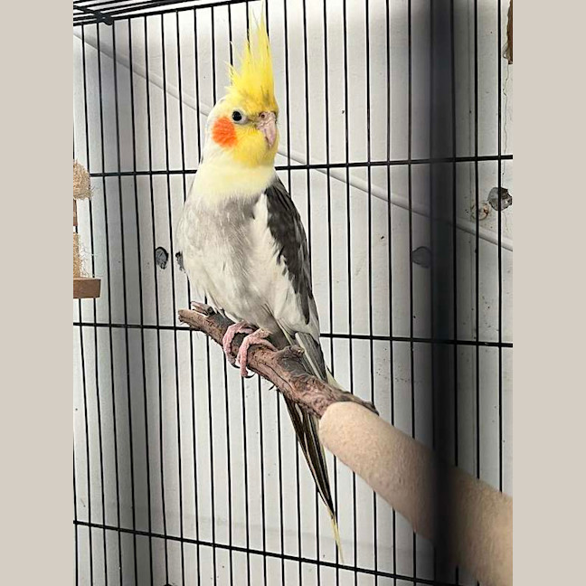 Photo of Steven