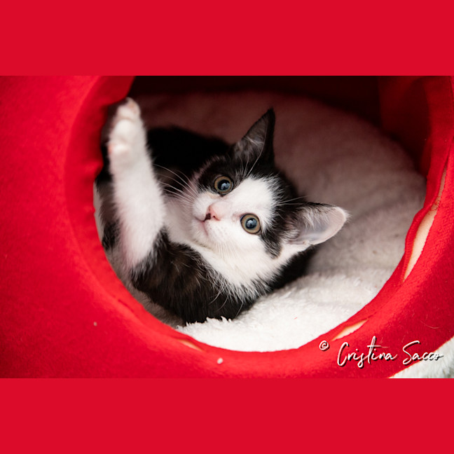 Photo of Parker