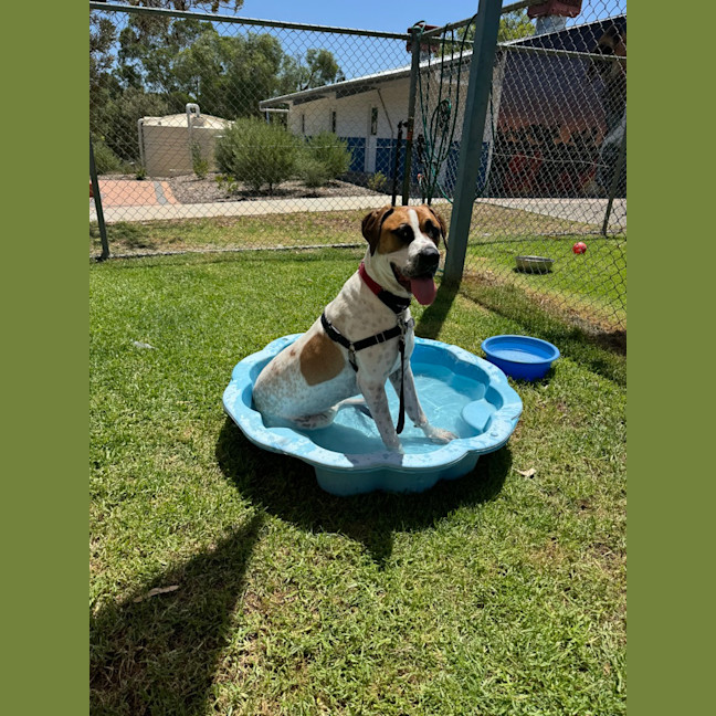 Photo of Axel