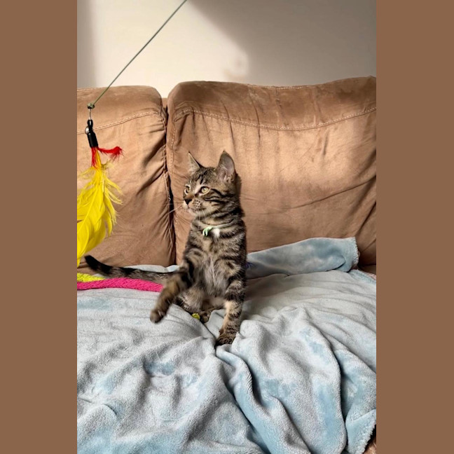Photo of Ash