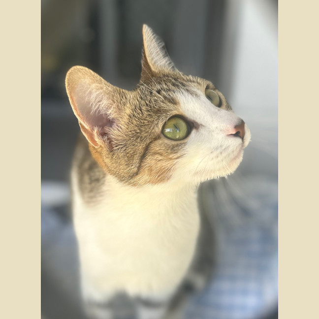 Photo of Susie Q