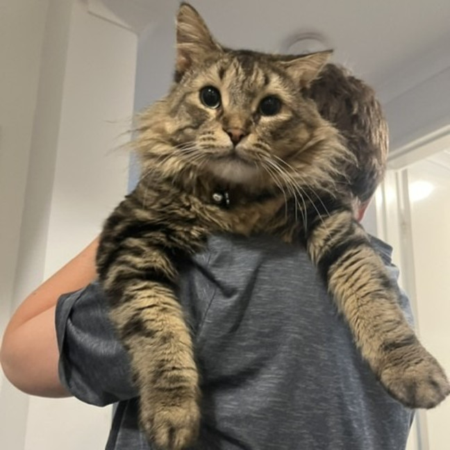 Photo of Klaus