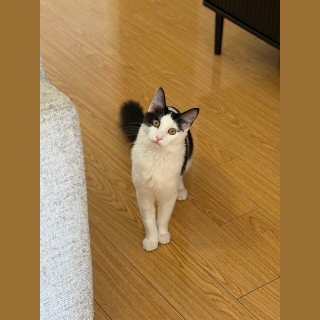 Photo of Luna