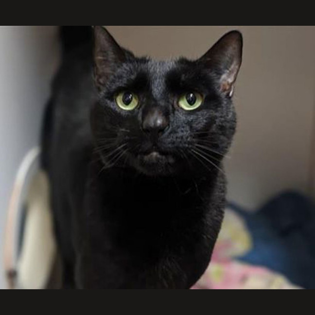 Photo of Kevin