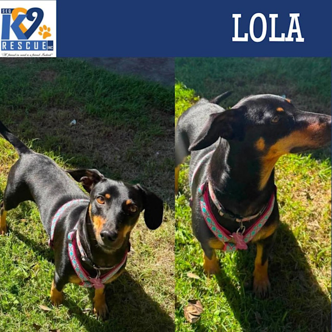Photo of Lola