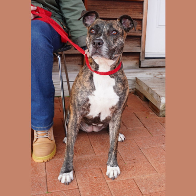 Photo of Della