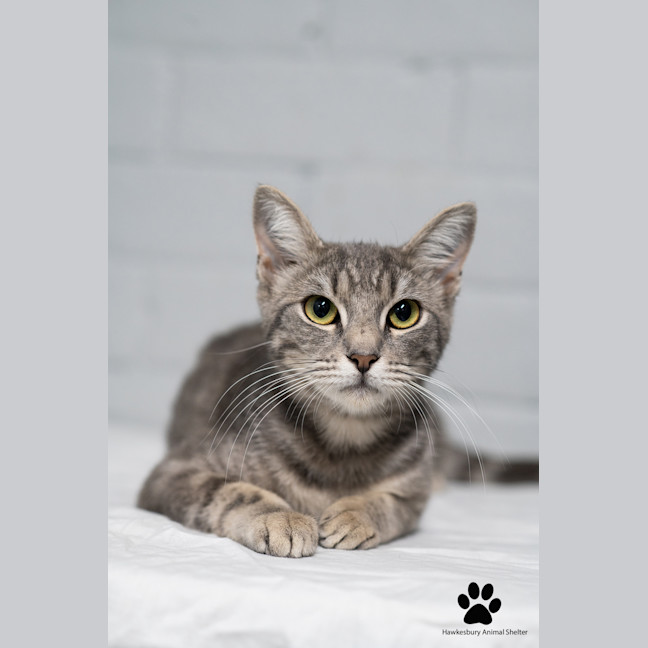 Photo of Molly 