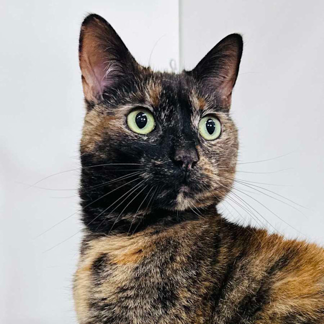 Photo of Kitlyn   Located In Preston