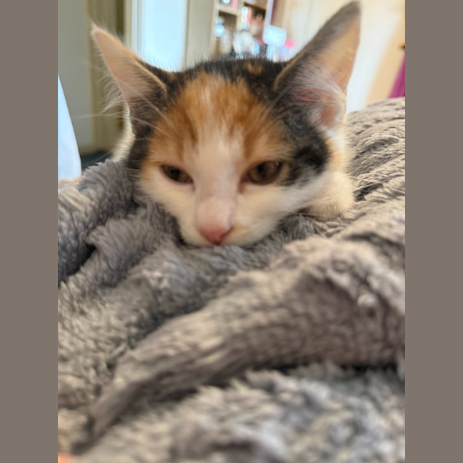 Photo of Jessie