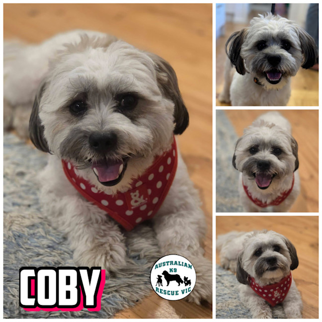 Photo of Coby 