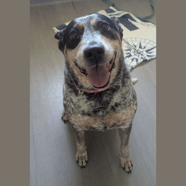 Photo of Maggie