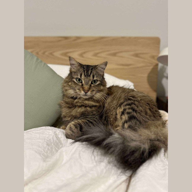 Photo of Leo