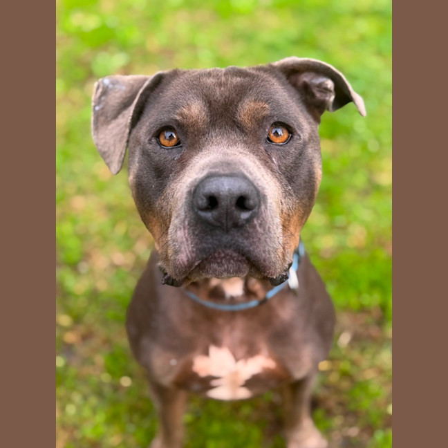 Photo of Bud