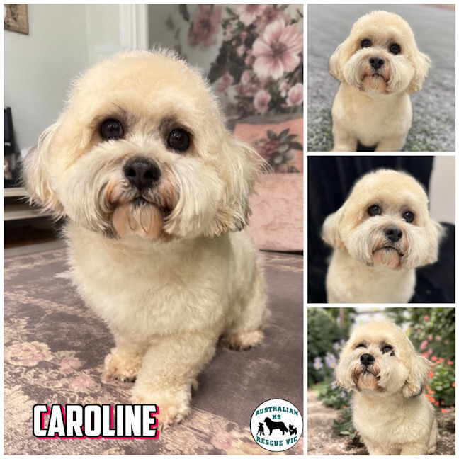 Photo of Caroline