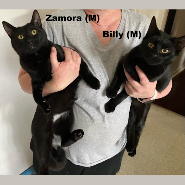 Photo of Billy And Zamora