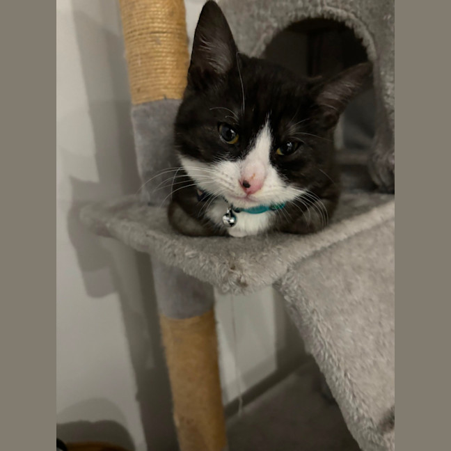 Photo of Pinky