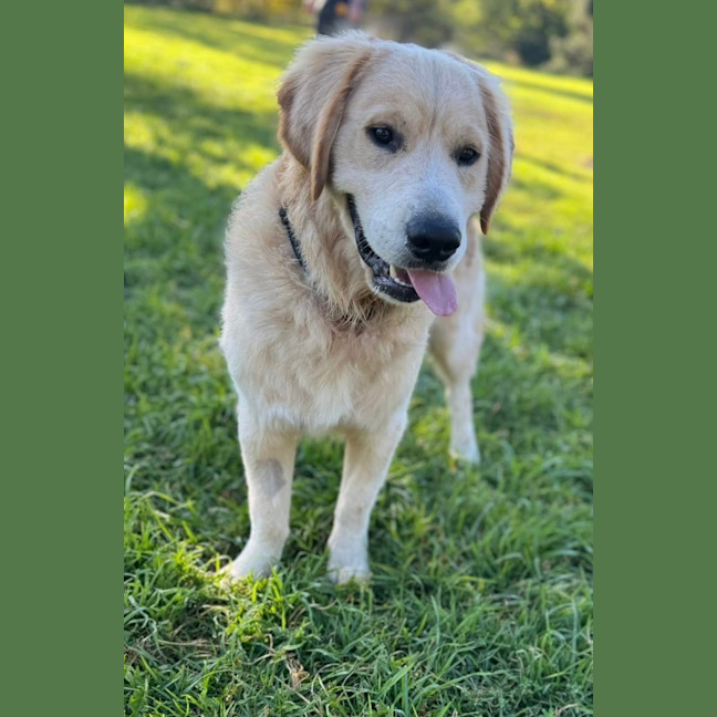 Photo of Olli
