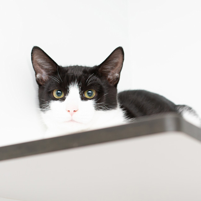 Photo of Luke Sky Walker