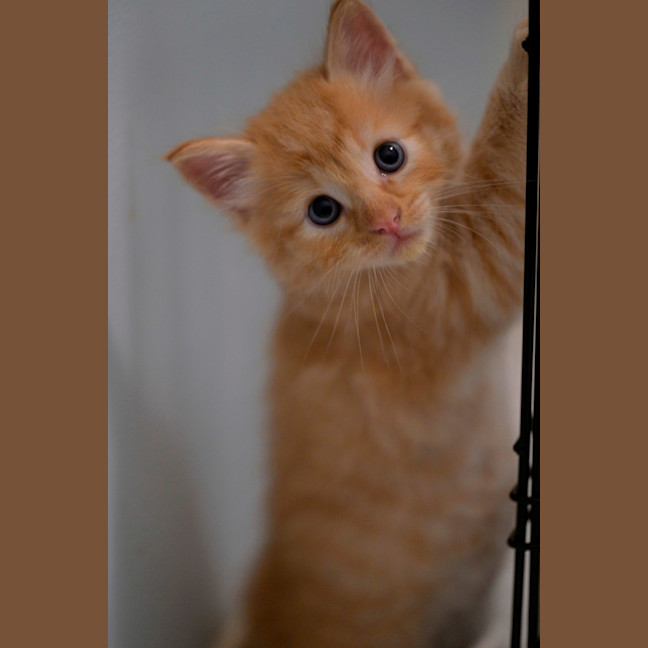 Photo of 😺 Garfield 😺