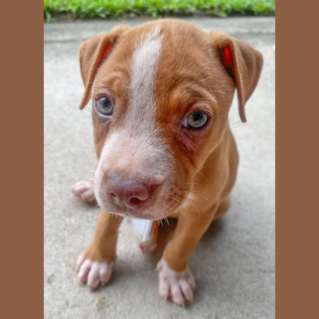 Photo of Salsa