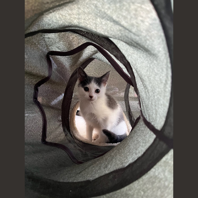 Photo of Minnie Baby