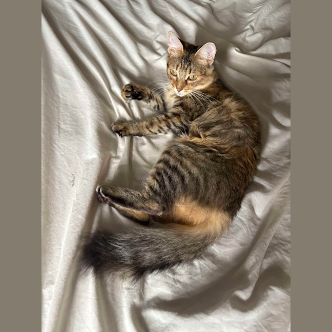 Photo of Macha