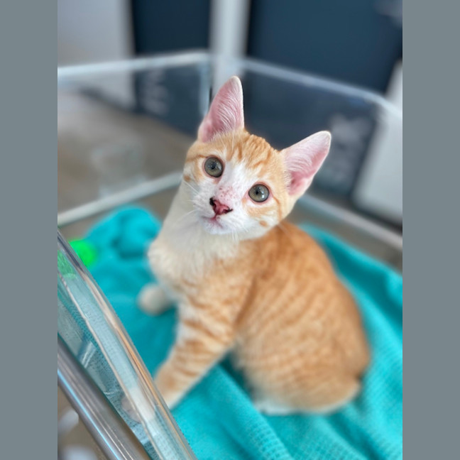 Photo of Marm