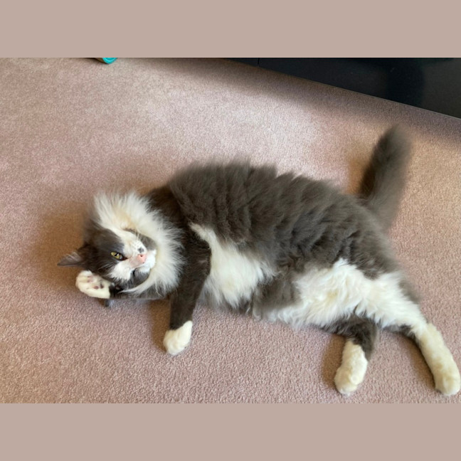 Photo of Barney And Wynstan