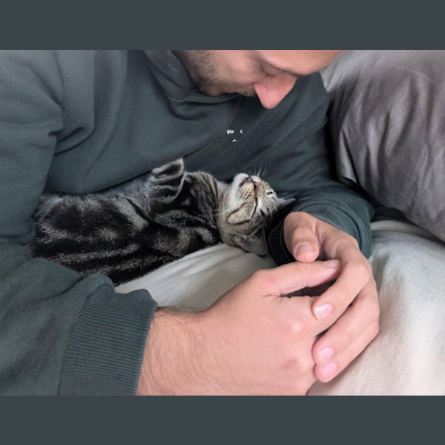 Photo of Skylar   Located In Pascoe Vale 