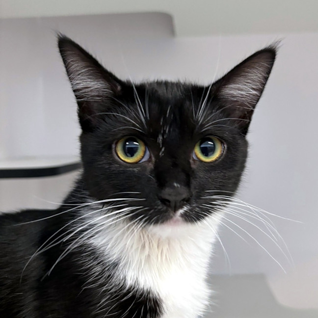 Photo of Emma Stk013179 & Freddie Stk013181