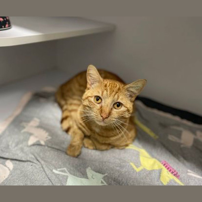 Photo of Lenny