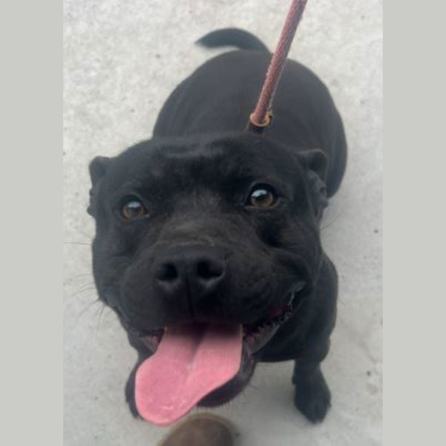 Photo of Cherry Licious Soda Pop