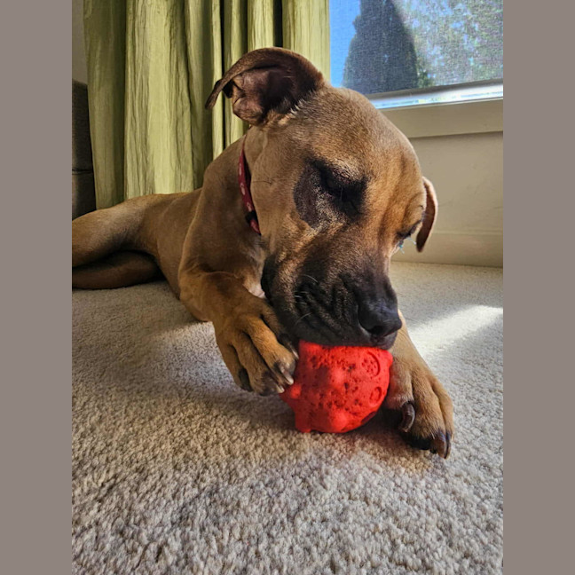 Photo of Mila