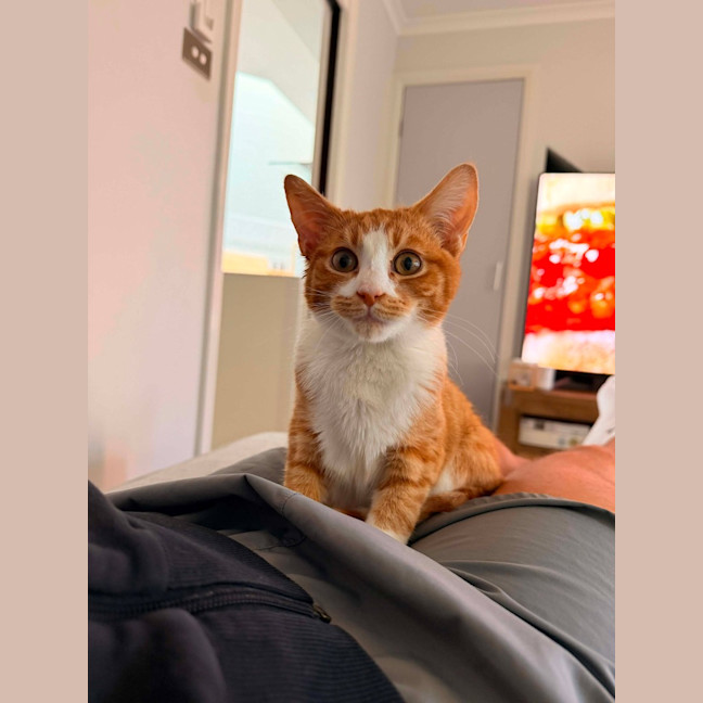 Photo of Leo