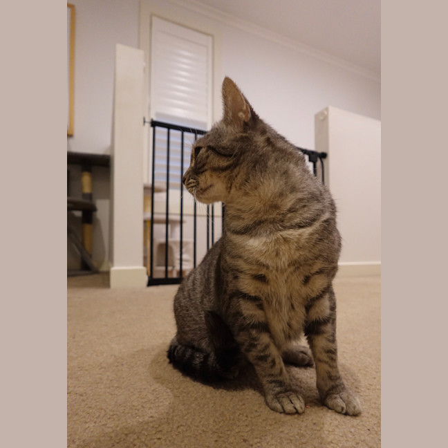 Photo of Kiara