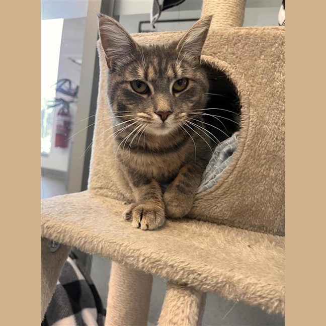 Photo of Peggy