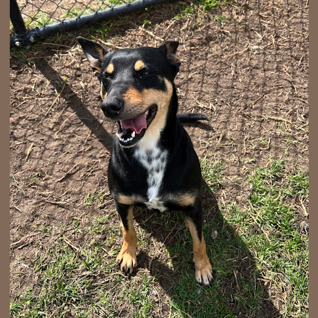 Photo of Dolly Parton