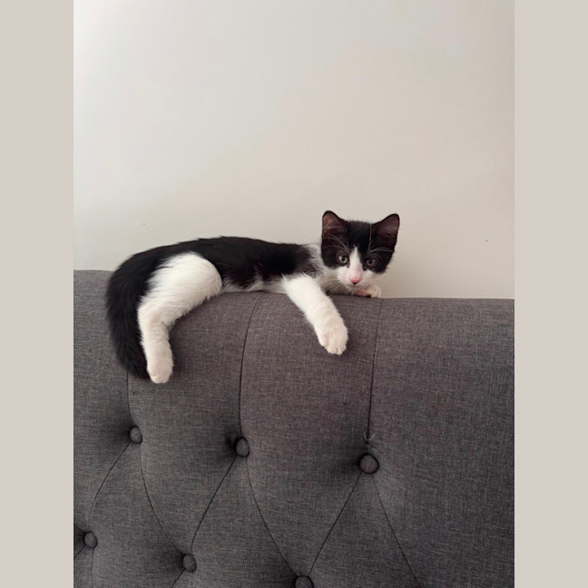Photo of Burt