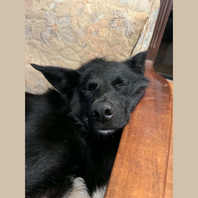 Photo of Tank