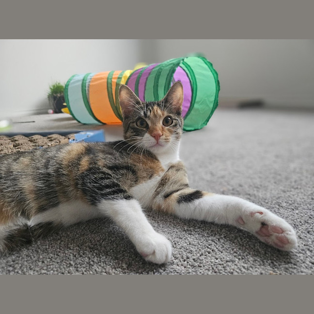 Photo of Sophie