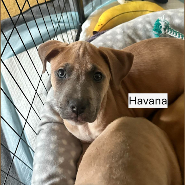 Photo of ⛰️ Coromandel's Litter (Part 1) ⛰️