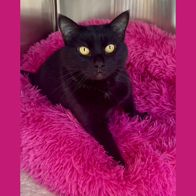 Photo of Molly